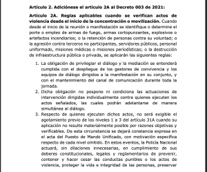 Borrador de decreto que establece lineamientos de regulación de la protesta