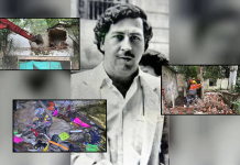 La historia del inmueble de Pablo Escobar intervenido en El Poblado: obras de arte, colecciones y la conexión con los Castaño